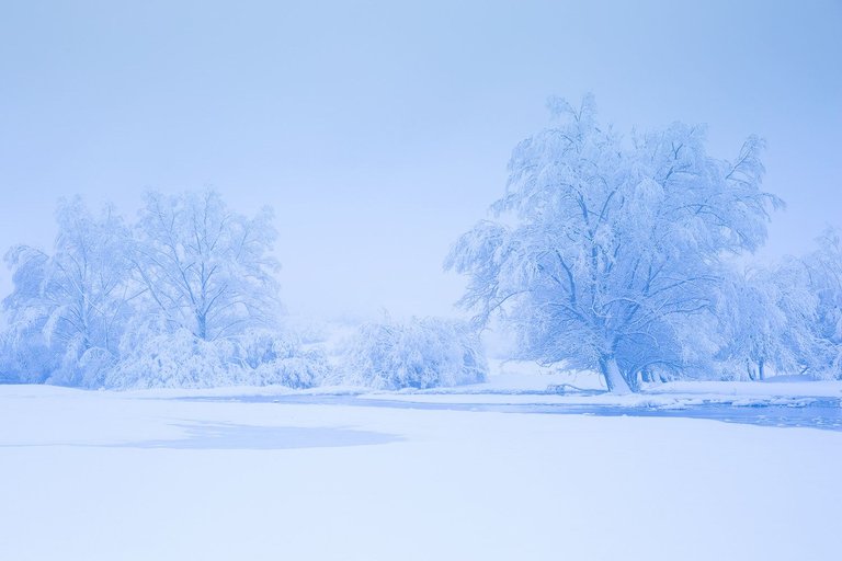 Snowy-trees-Abruzzo-National-Park-icy-stream.jpg