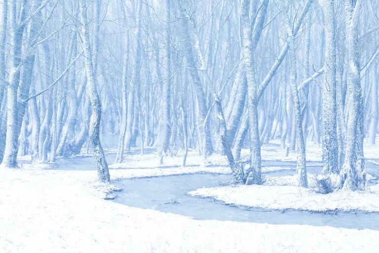 parco-nazionale-dabruzzo-winter-landscape.jpg