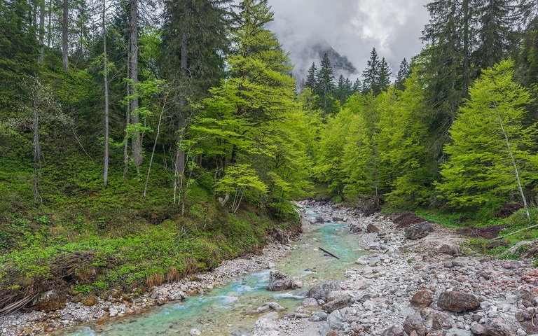 IMG_0468 copy.jpg