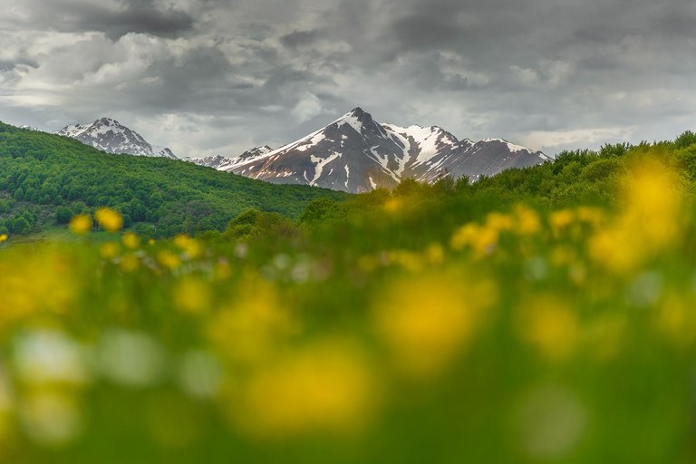 TONY7790-HDR.jpg