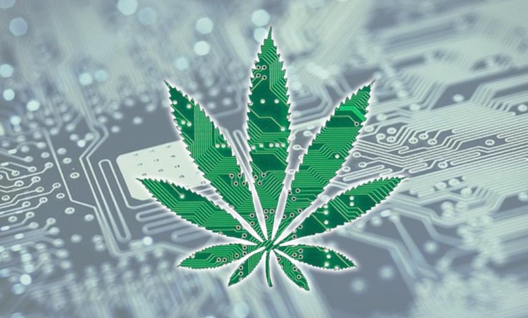 cannabis-technology.jpg