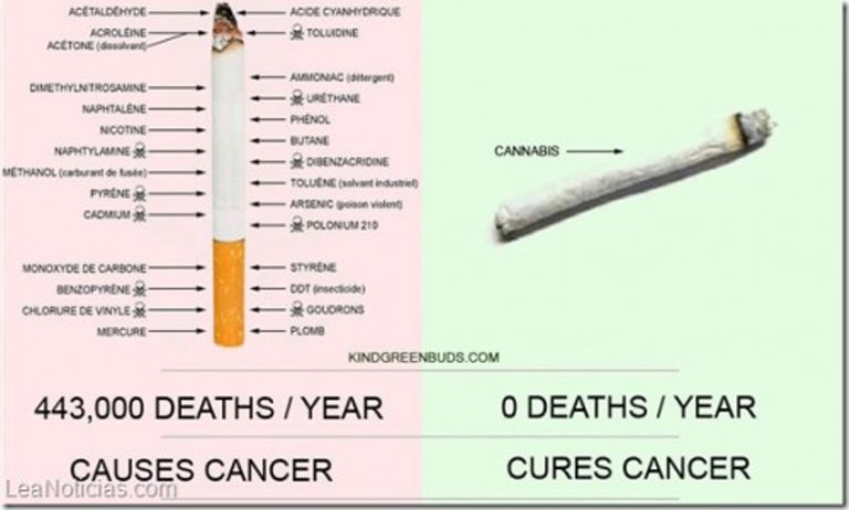 marihuana-vs-cigarette.jpg