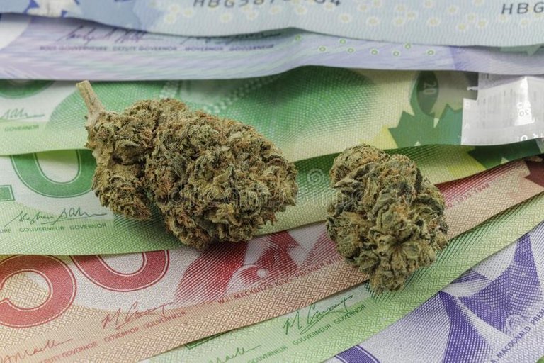 marijuana-canadian-cash-coins-110893759.jpg
