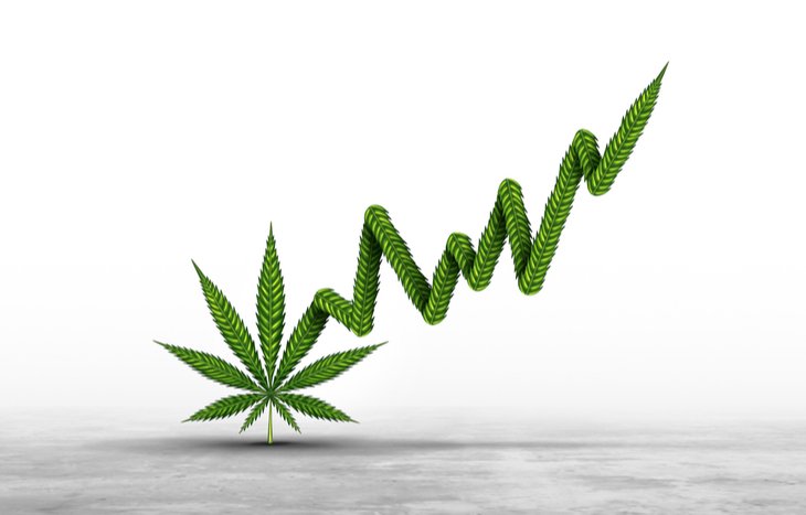Best-Weed-Stocks.jpg