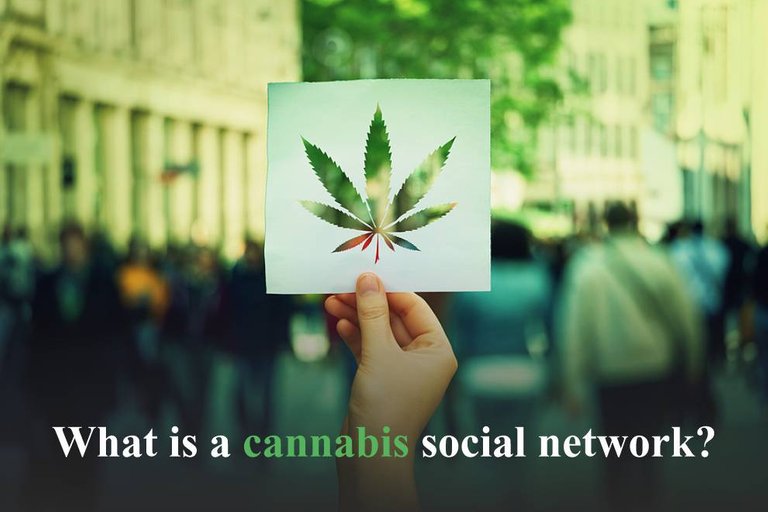 Cannabis-Social-Network.jpg