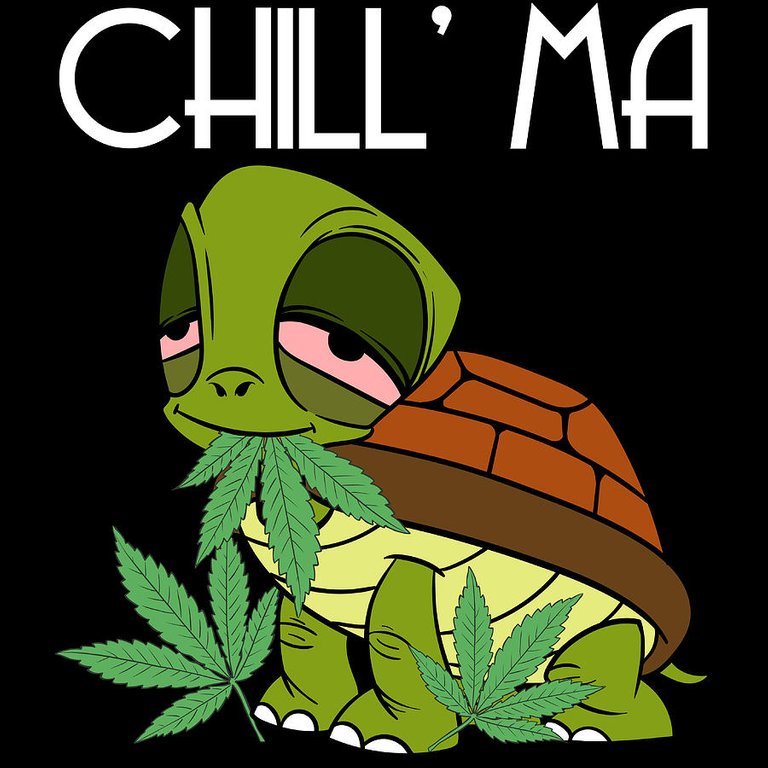 chill-ma-cannabis-weed-tshirt-design-marijuana-medication-legalized-reptile-tortoise-sea-sand-shore-roland-andres.jpg