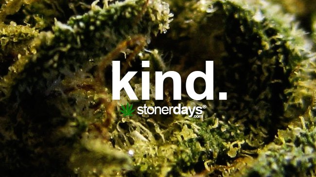 kind-marijuana-term-1.jpg