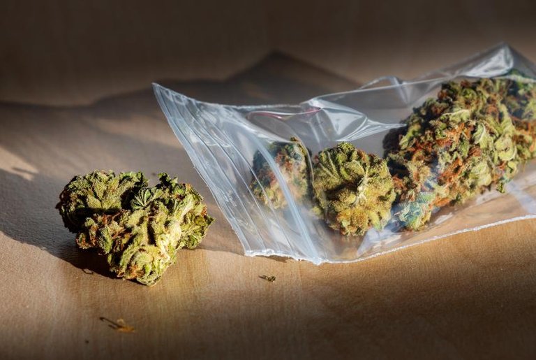 Marijuana Plastic Bag IS TT.jpg