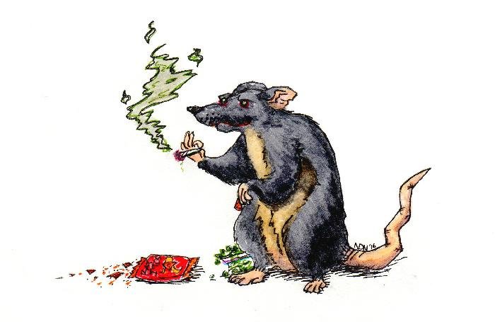 Stoner_Rat093_picmonkeyed-medium.jpg