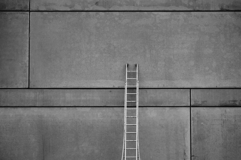 ladder1.jpg