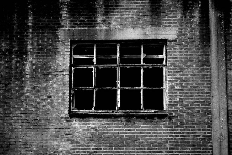 Window3.jpg