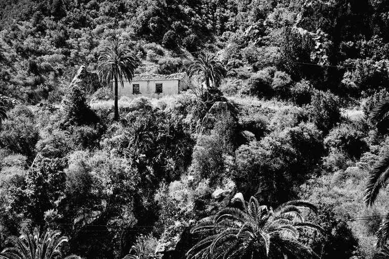 House3.jpg