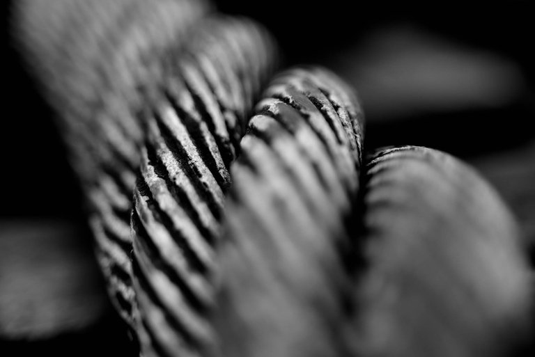 Cable2.jpg