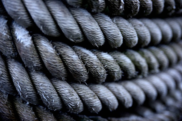 Detail3.jpg