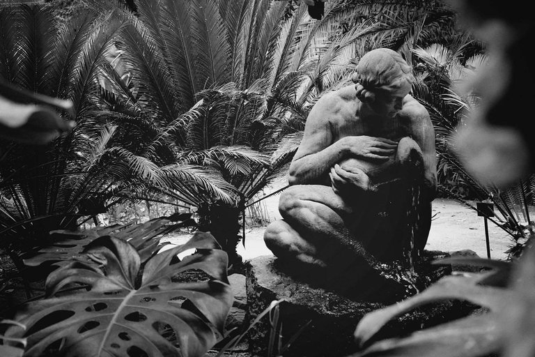 garden3.jpg