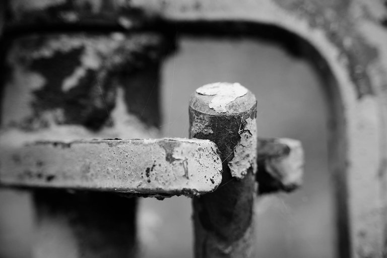 Decay5.jpg