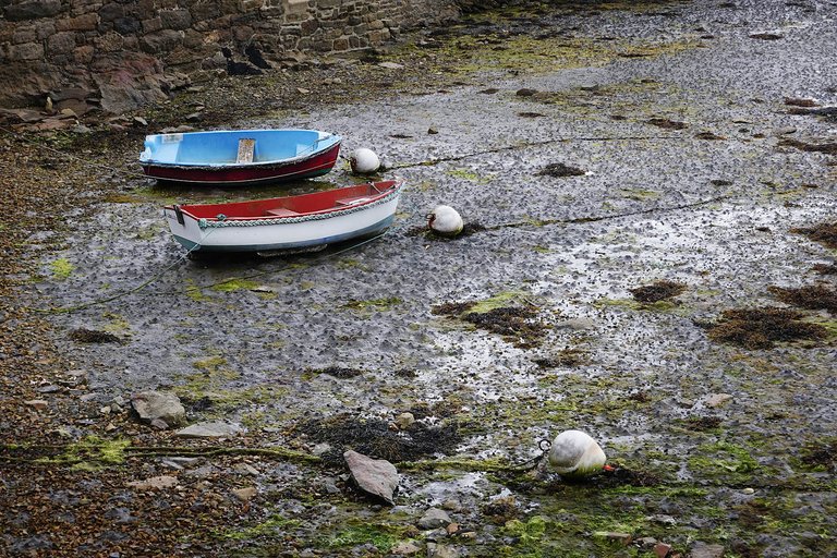 Roscoff5.jpg