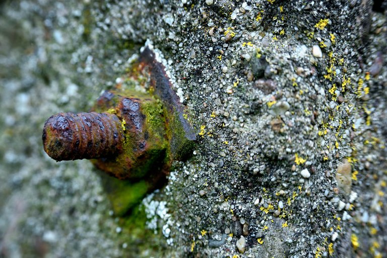 Detail5.jpg