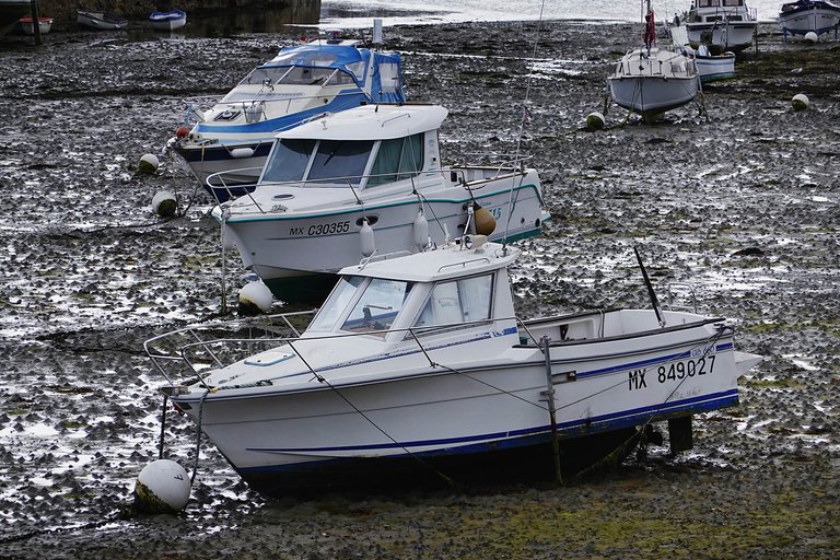 Roscoff3.jpg
