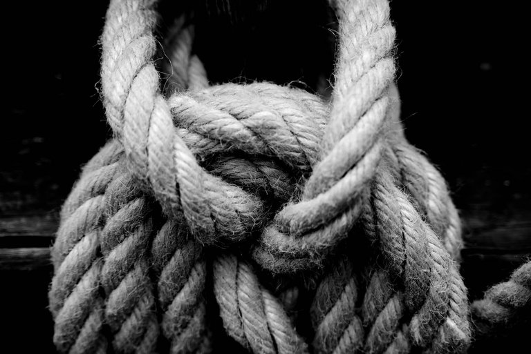 Knot3.jpg