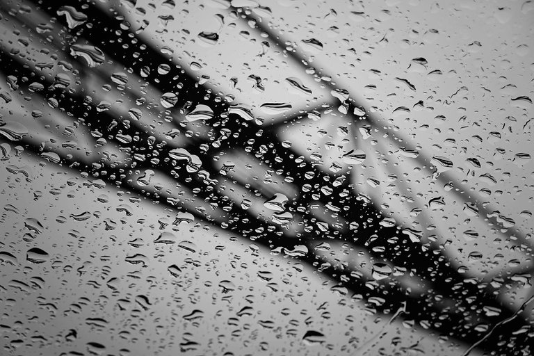 Rain6.jpg