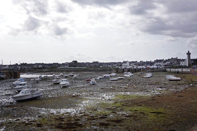 Roscoff6.jpg