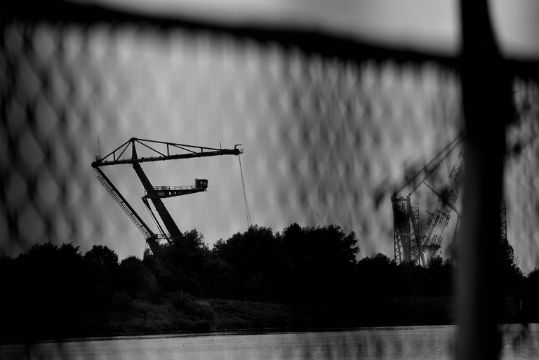 Fence1.jpg