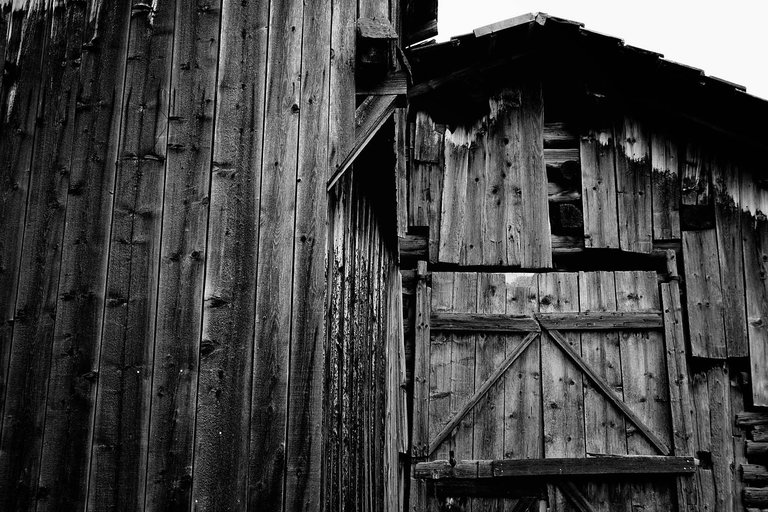 Wood3.jpg