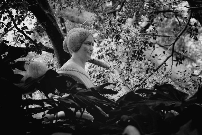 garden1.jpg