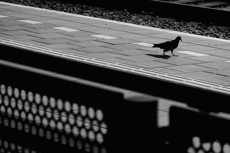 Train5.jpg