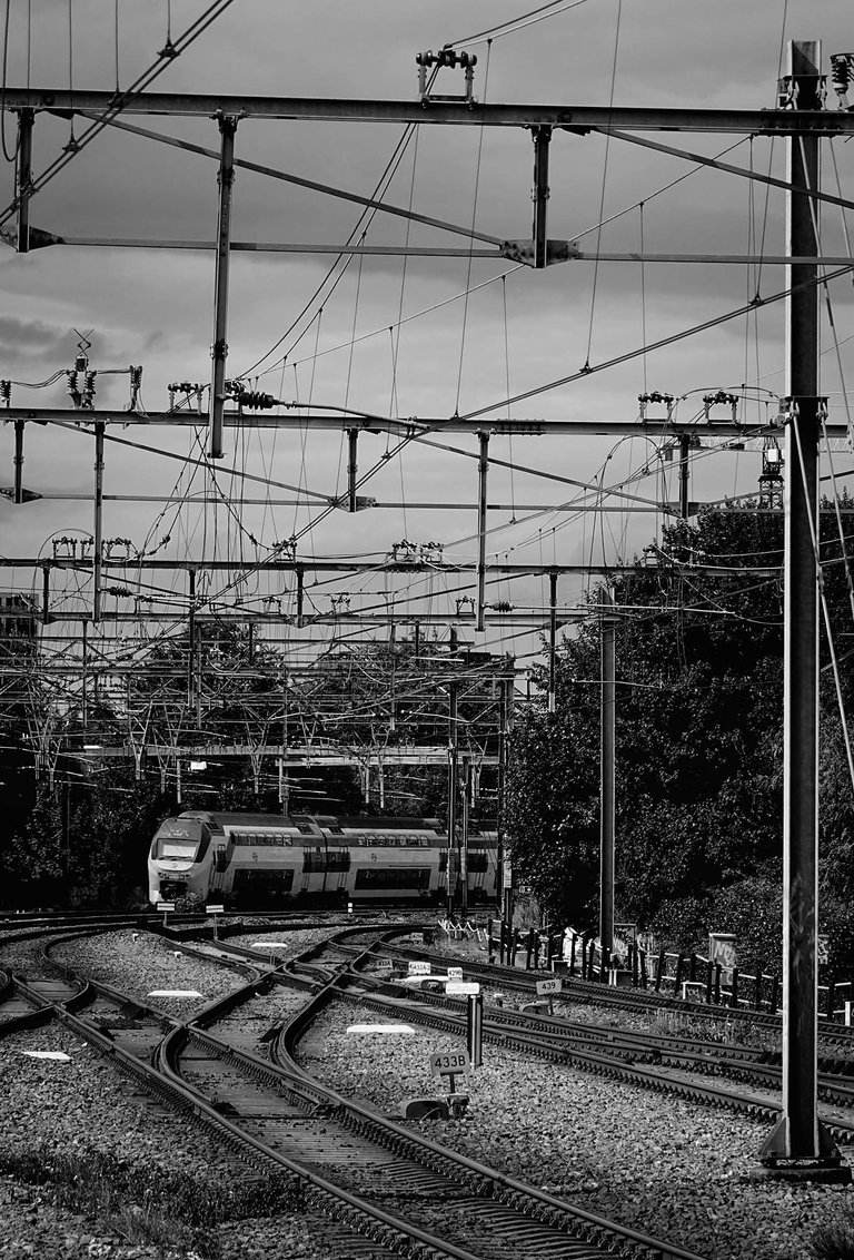 Train11.jpg