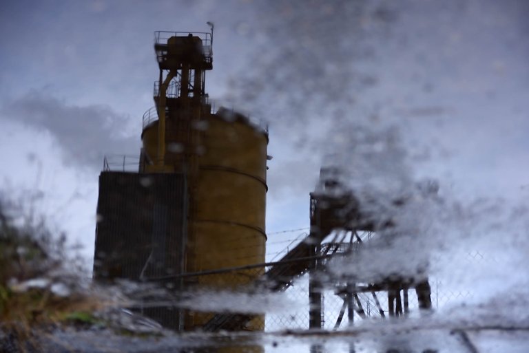 Reflection3.jpg