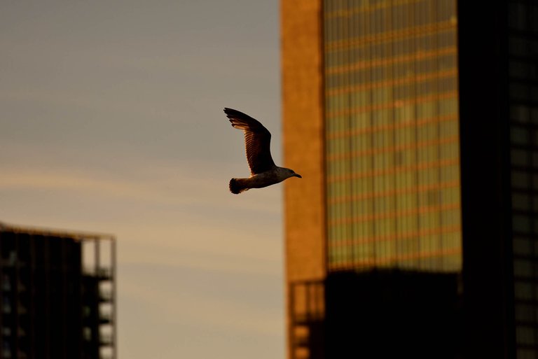 Waterfront2.jpg