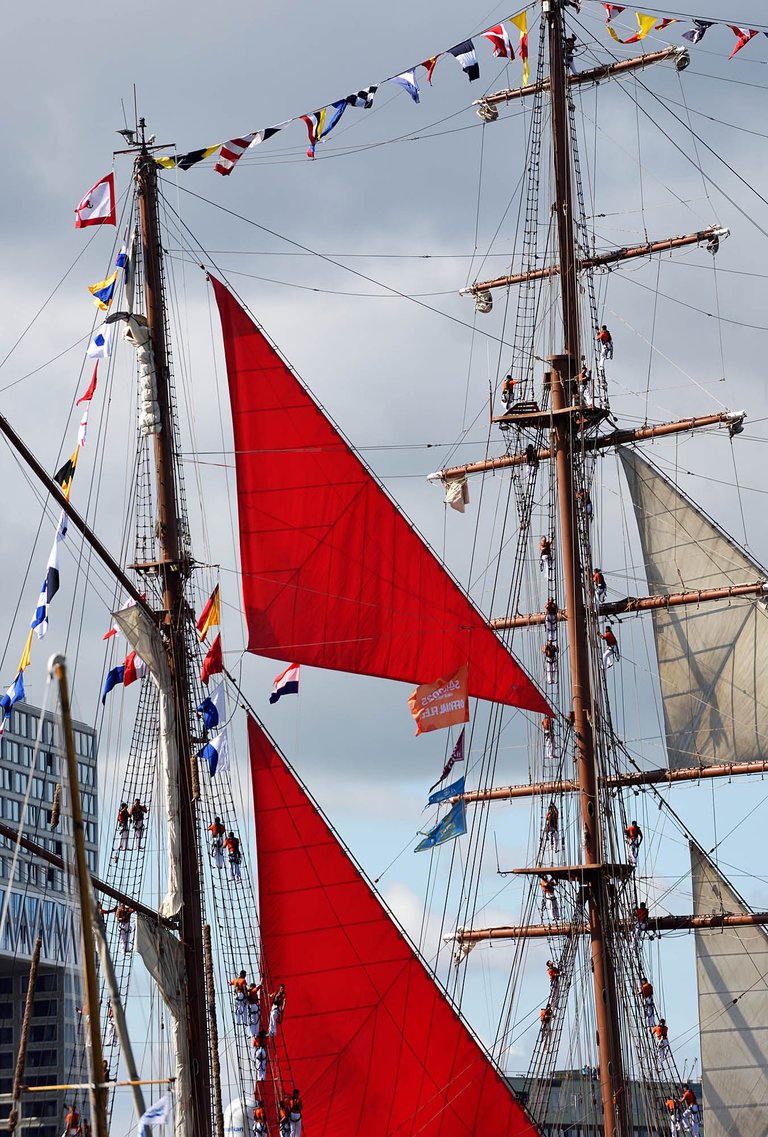 Sail Out2.jpg