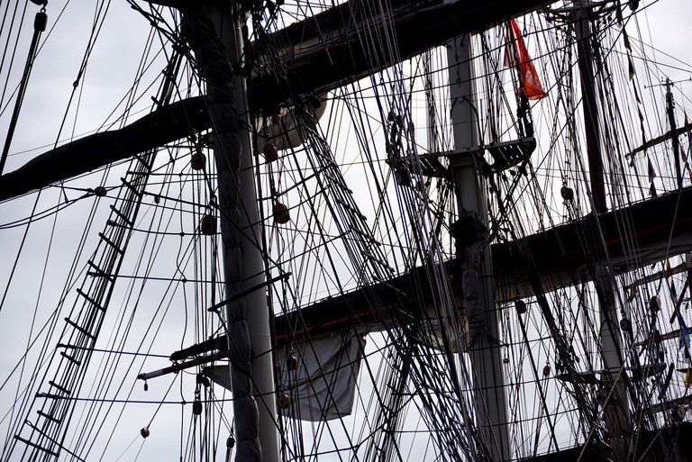 Sail5.jpg