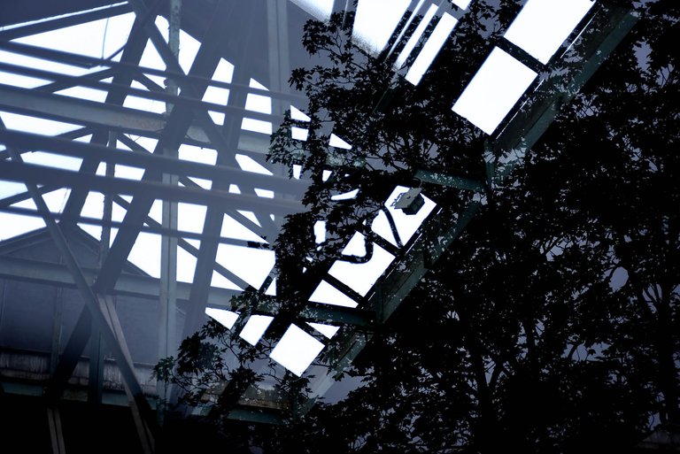 Reflectie3.jpg