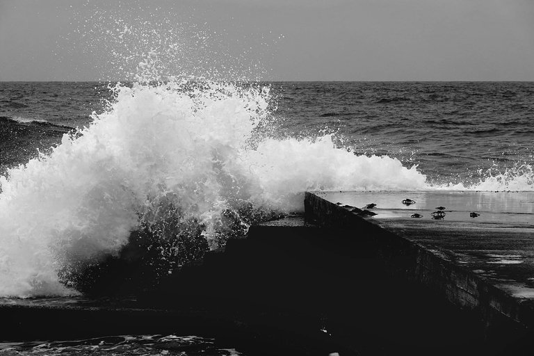 Sea2.jpg