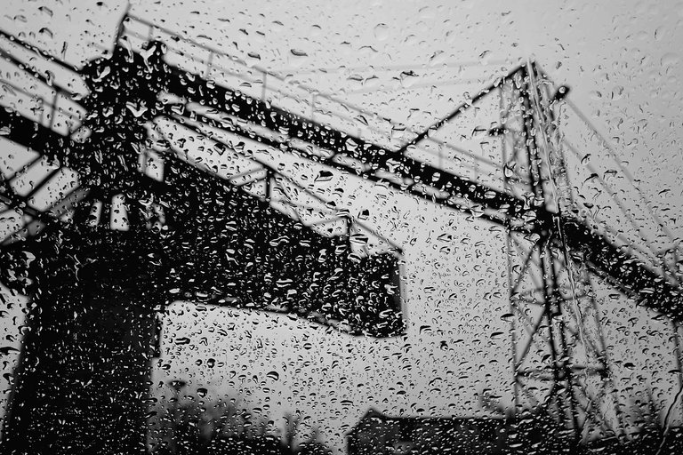 Rain4.jpg
