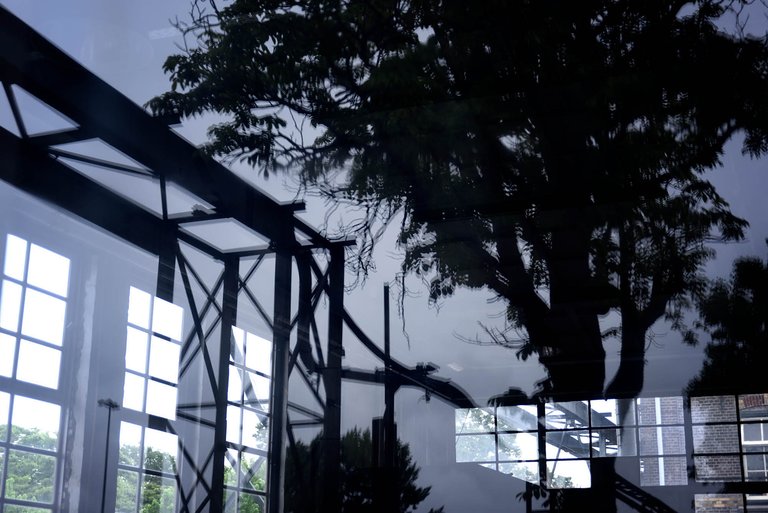 Reflectie1.jpg