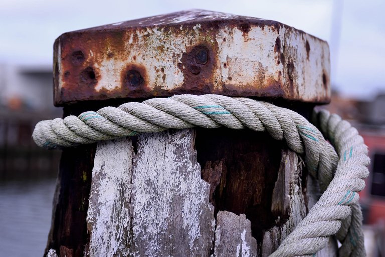 Rope4.jpg