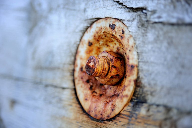 Wood4.jpg