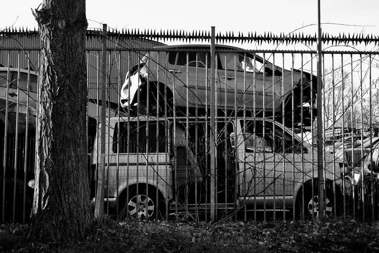 CarDump6.jpg