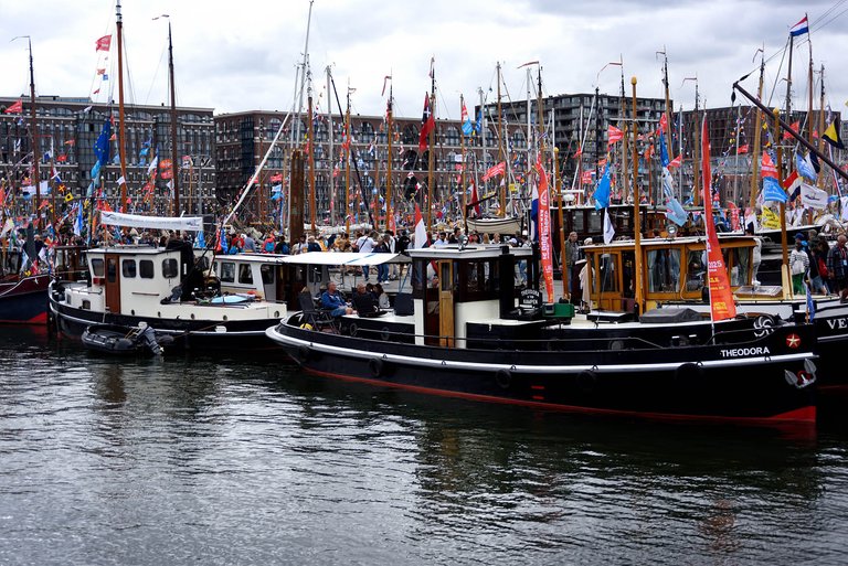 Sail6.jpg