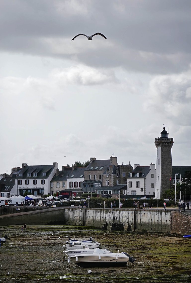 Roscoff2.jpg