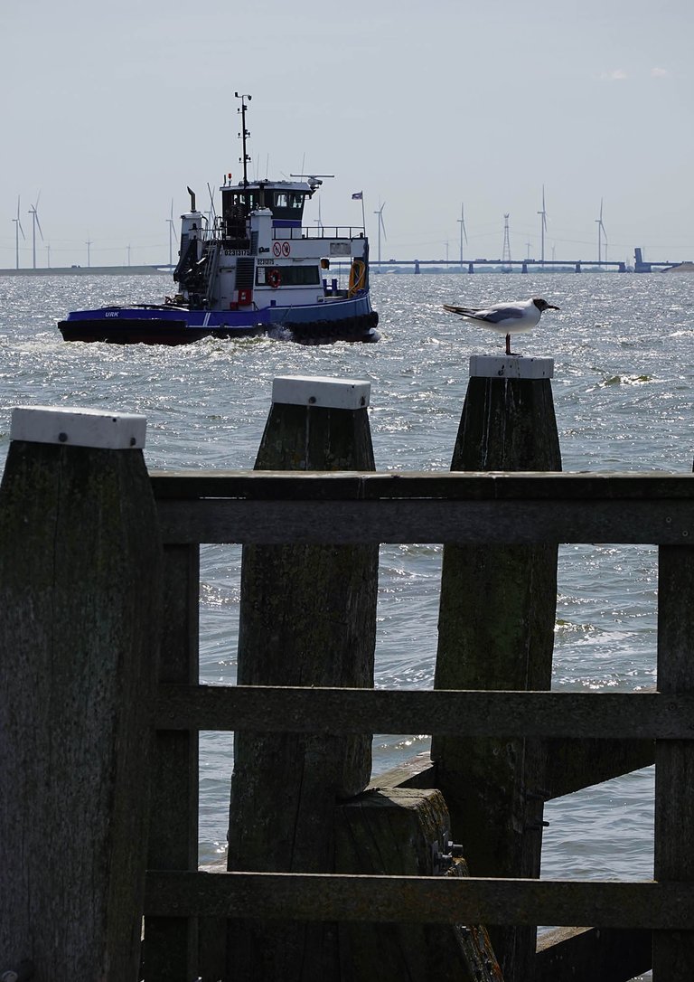 Urk8.jpg
