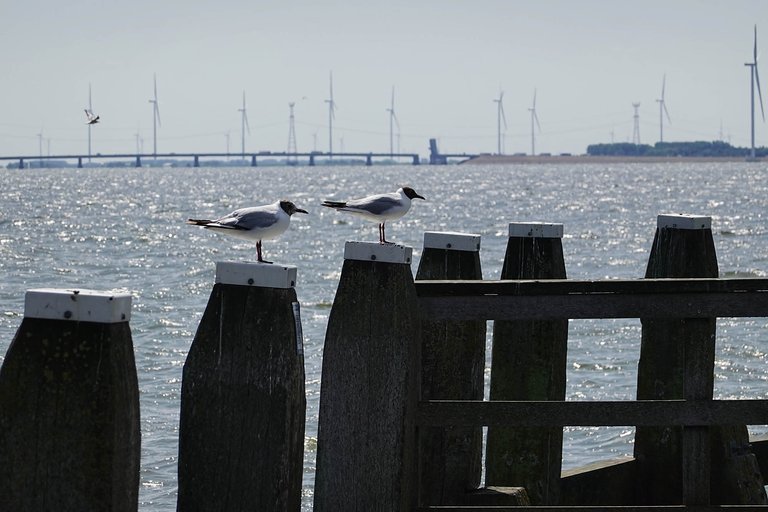 Urk3.jpg