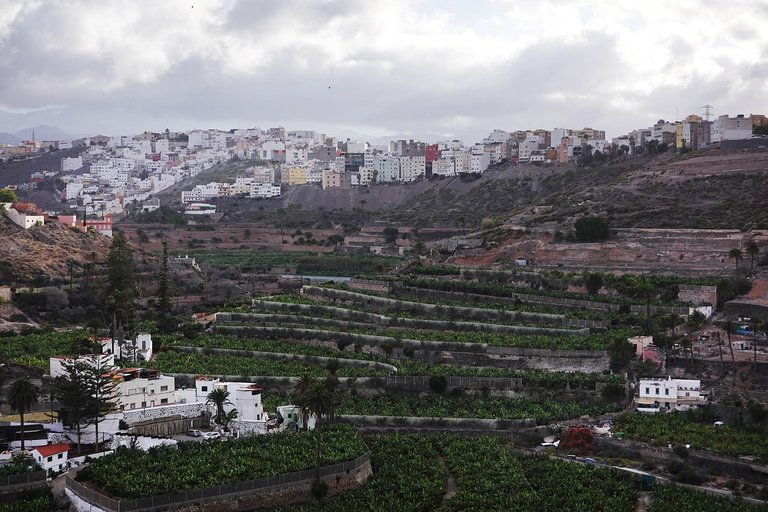 View4.jpg