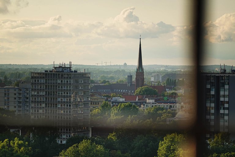 Saule3.jpg
