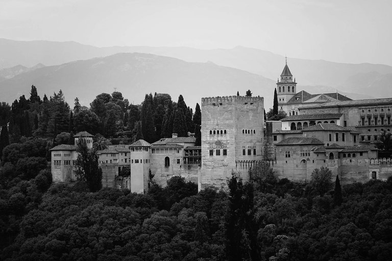 View1.jpg