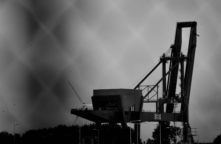 Fence3.jpg
